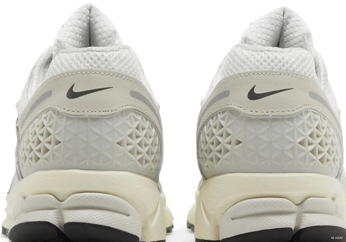 Tint Vomero Zoom Nike 5 Platinum 0619